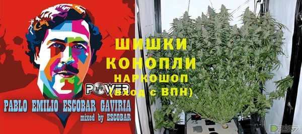 спиды Пролетарск