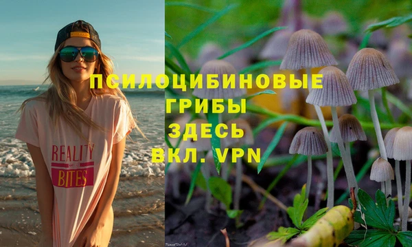 MDMA Россошь
