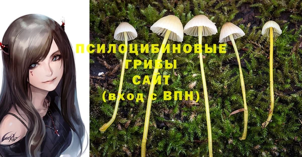 стафф Рославль