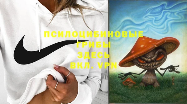 стафф Рославль