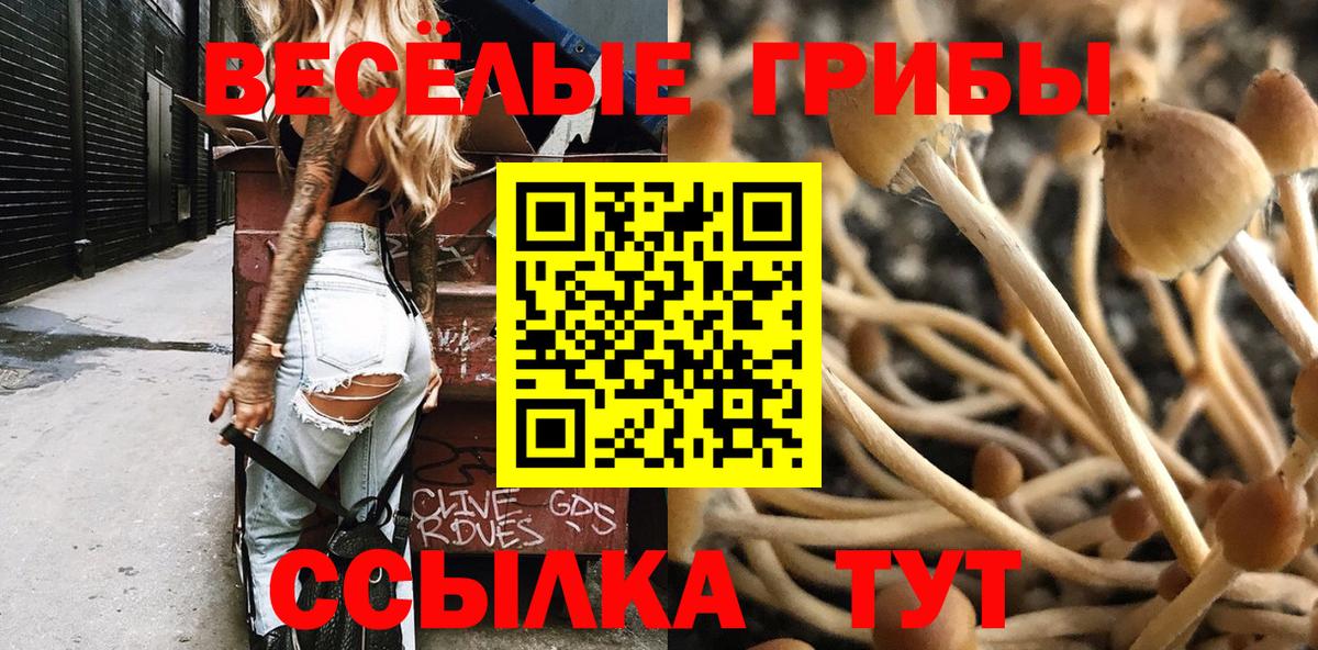 Галлюциногенные грибы GOLDEN TEACHER Выборг