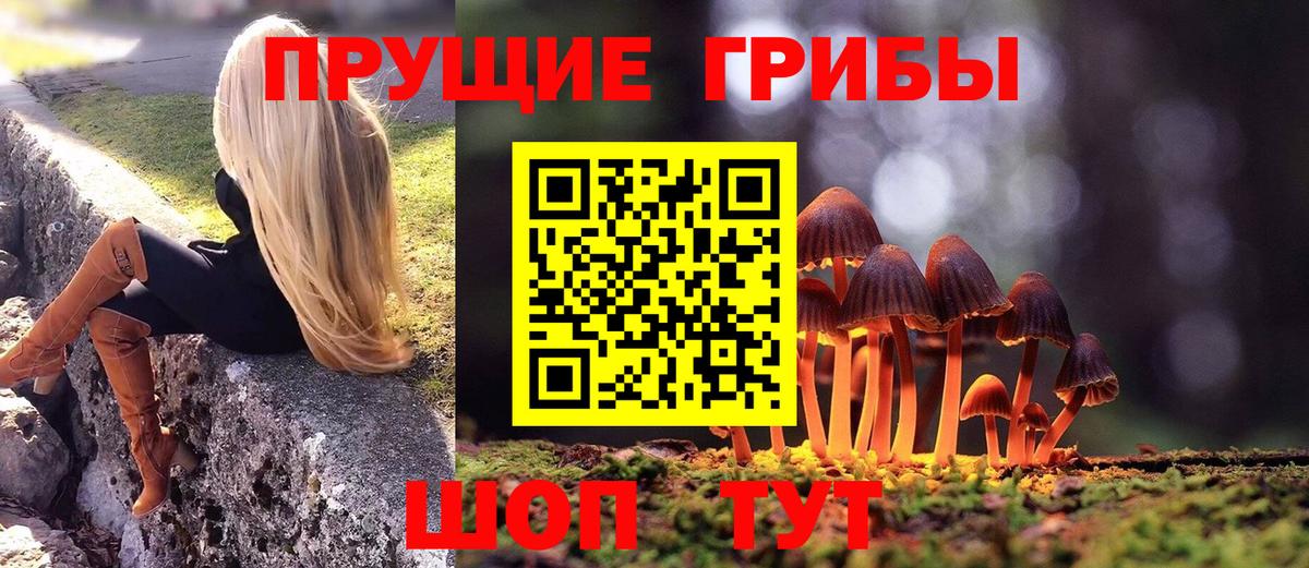 Галлюциногенные грибы Magic Shrooms  Выборг 