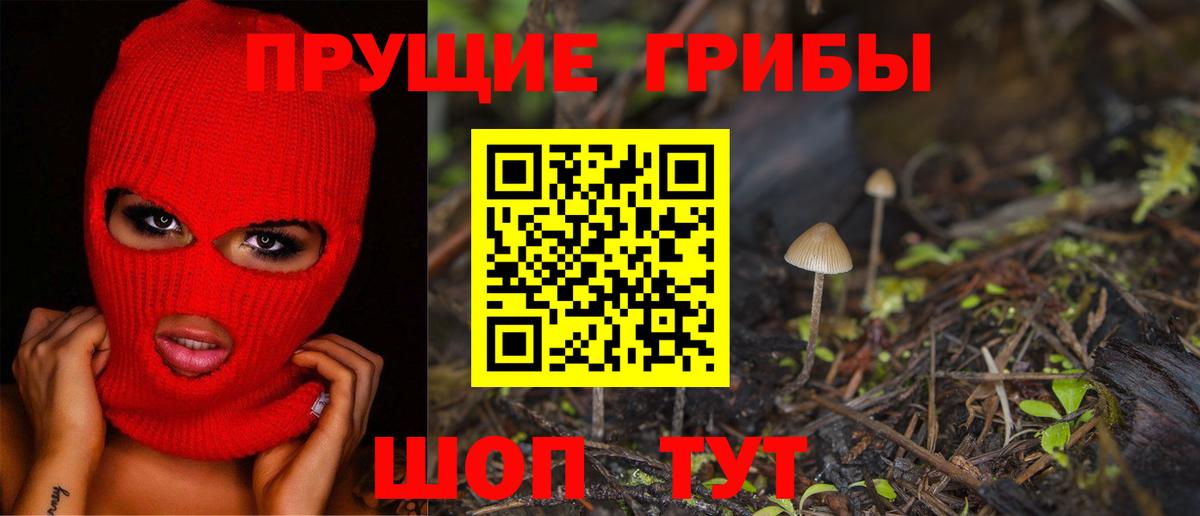 Псилоцибиновые грибы ЛСД  Вход с VPN  Выборг  Псилоцибиновые грибы прущие грибы 